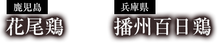 鹿児島×兵庫県